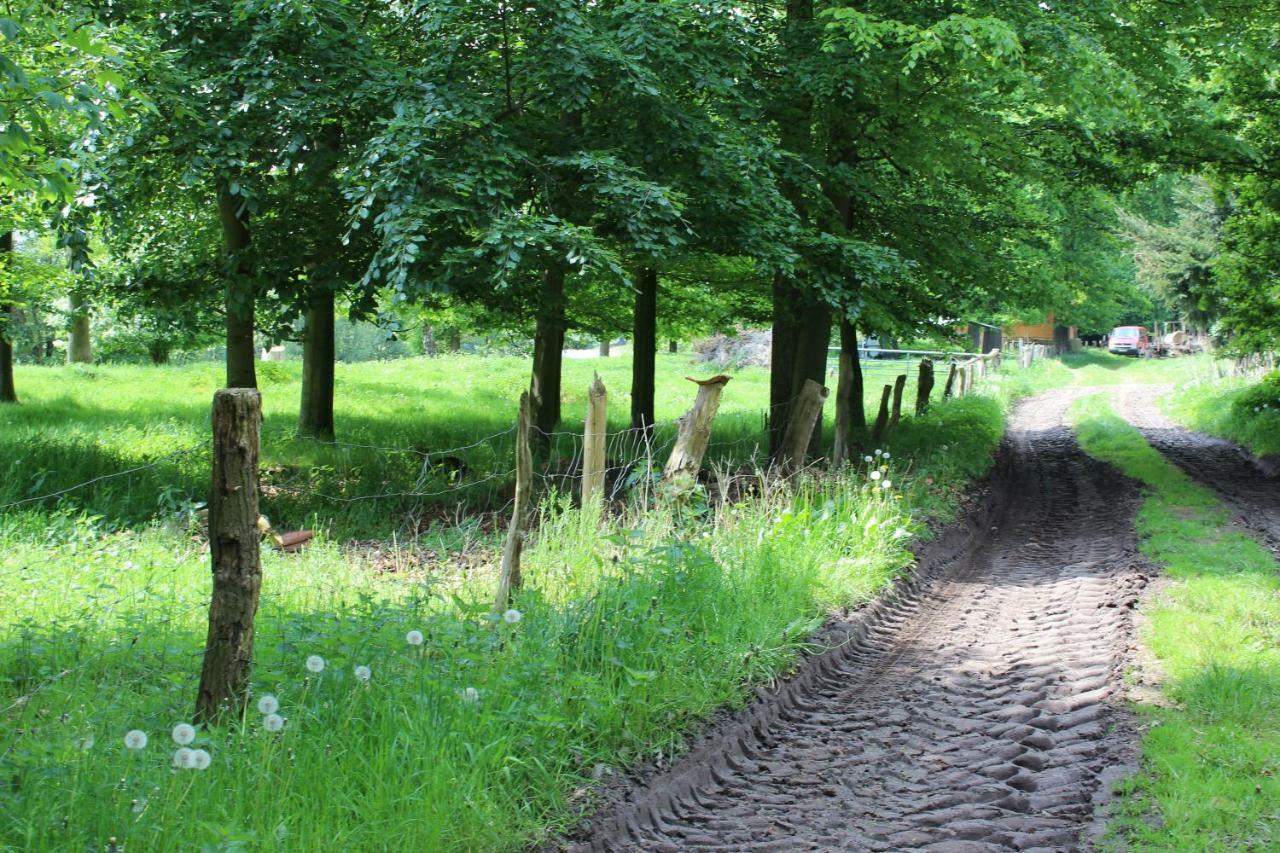 Вілла Haus Kornfeld Oberlangen Екстер'єр фото